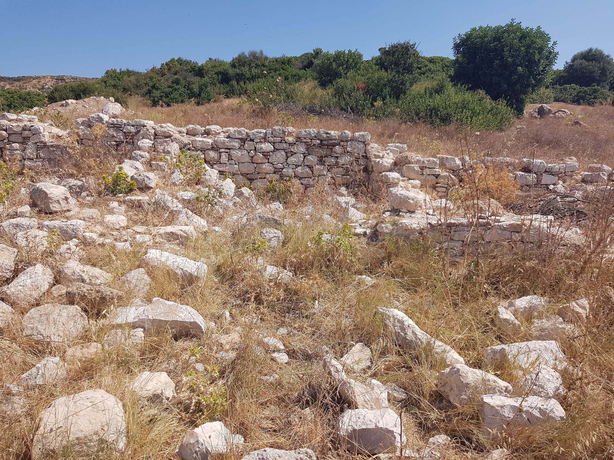 Scant remains of the Sanctuary of the Nymphs on the Sacred Way between Miletus and Didyma Scant remains of the Sanctuary of the Nymphs on the Sacred Way between Miletus and Didyma