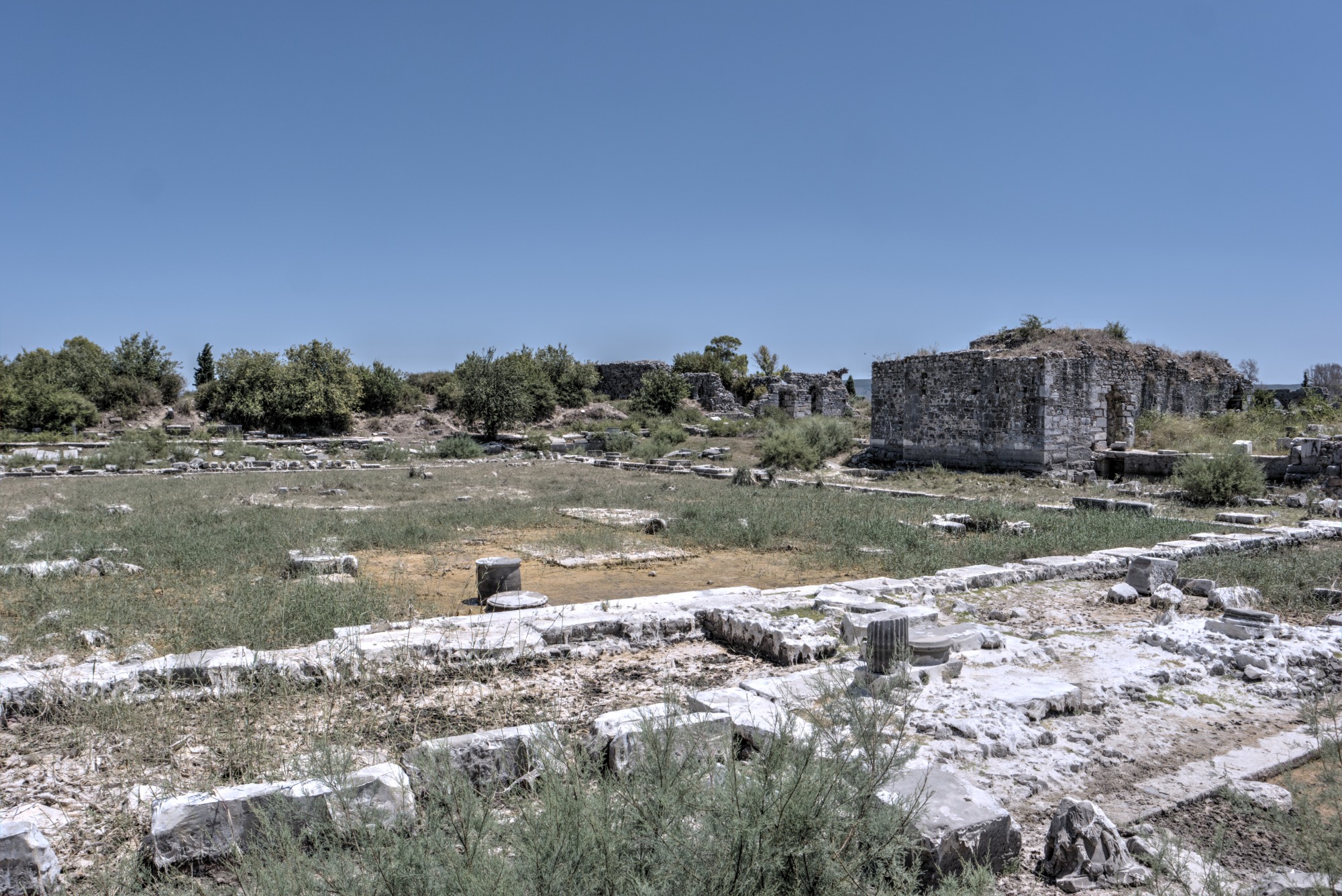 The Delphinium in Miletus where the procession began The Delphinium in Miletus where the procession began